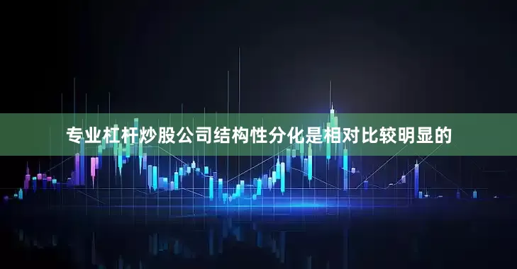 专业杠杆炒股公司结构性分化是相对比较明显的